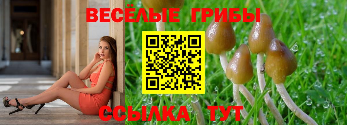 Галлюциногенные грибы прущие грибы Урус-Мартан